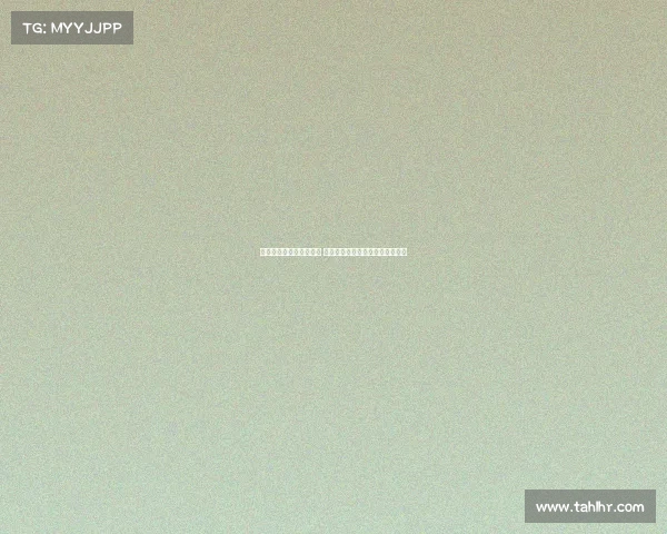 英超后防线的崛起与挑战 深度解析各队防守核心与战术布局