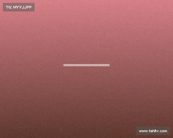 网球比赛志愿者的多重角色与贡献探索：从赛场服务到赛事背后无声支持